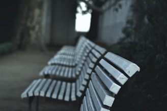 A row of empty wooden benches is positioned along a pathway. The benches are painted in a muted gray color, and they stretch into the blurred background. The setting appears to be outdoors, possibly in a park or garden area with trees visible nearby. The atmosphere is calm and slightly somber, with subdued lighting.