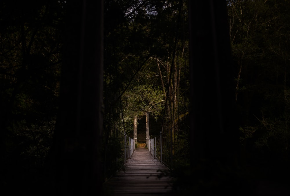 selective focus photography of bridge