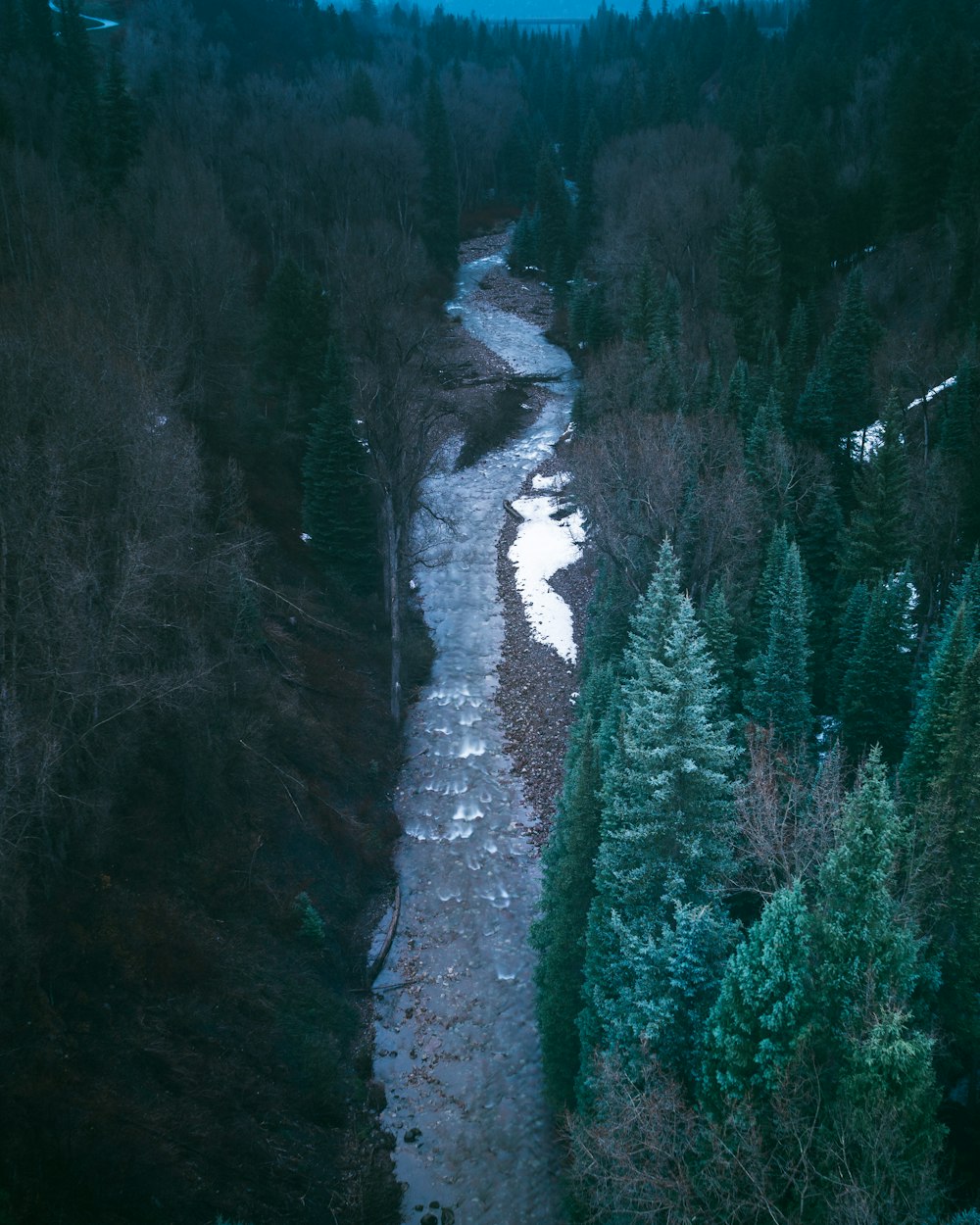 body of water surrounded by trees