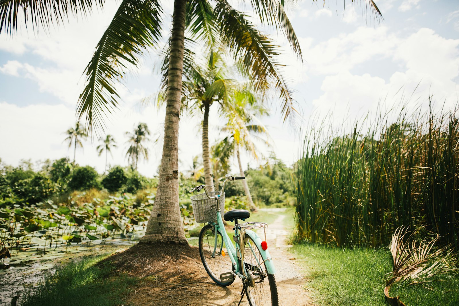 Canon EOS 5D Mark III + Sigma 24mm F1.4 DG HSM Art sample photo. Blue beach cruiser bike photography