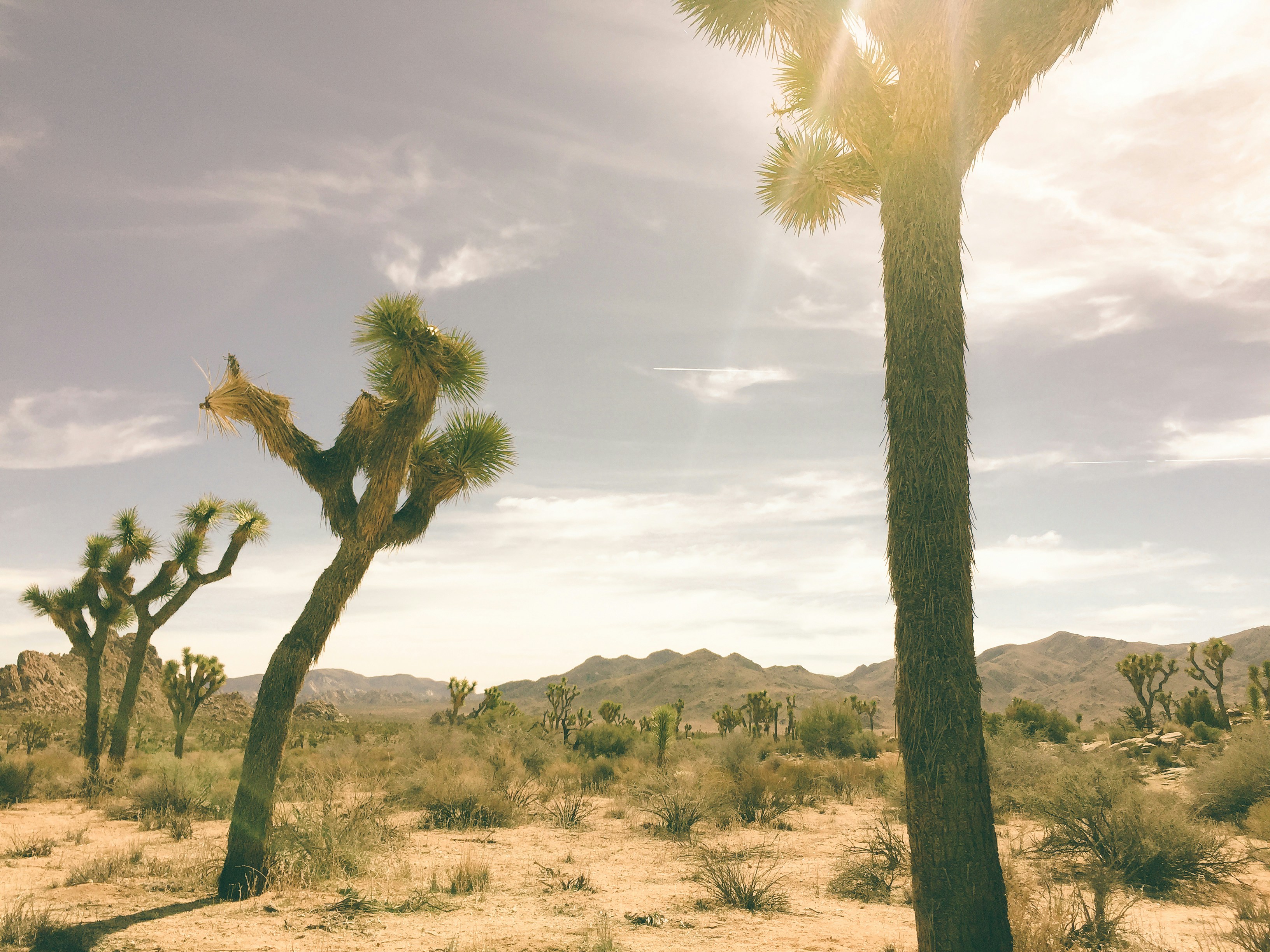 Free Unsplash photo from hannah persson