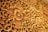 Ornate wooden carving featuring intricate floral and geometric patterns, with a prominent flower motif at the center. The craftsmanship showcases detailed vines and leaves, meticulously chiseled to create a rich tapestry of natural elements.