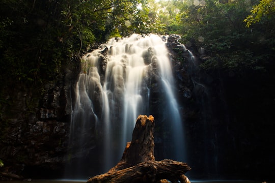 timelapse photography of waterfalls in Cairns Australia