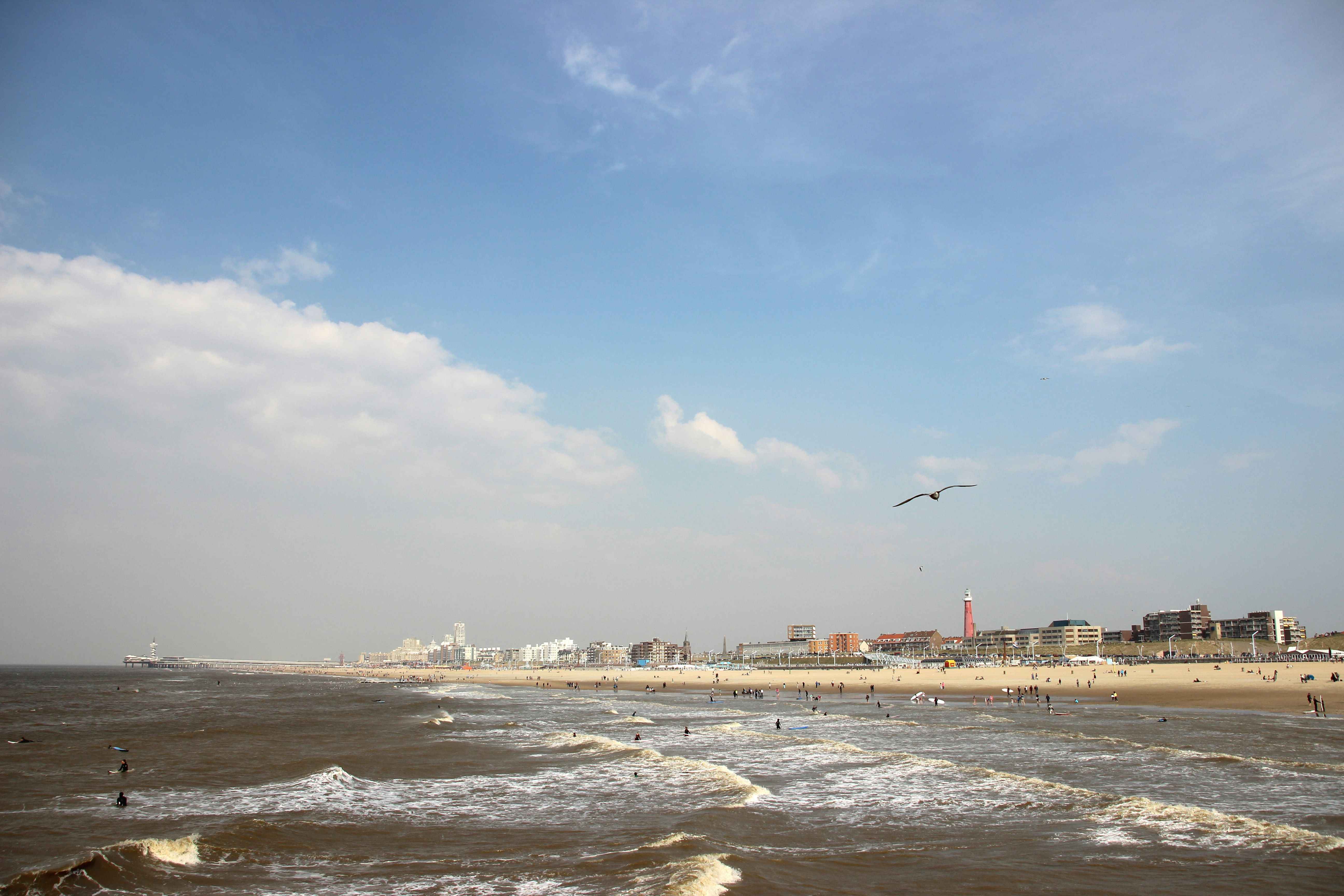 Free Unsplash photo from Constantine Fountos