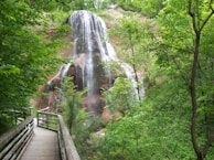 A winding jungle trail leading to a hidden waterfall, inviting exploration.