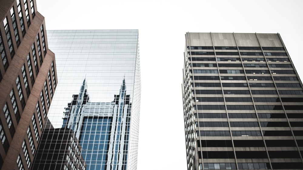 high-rise buildings photo during daytime