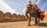 An elephant adorned with colorful fabric carries a rider wearing a traditional turban. The scene is set against an ancient stone fort under a partly cloudy sky.