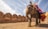 man riding on walking elephant at daytime