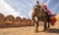 man riding on walking elephant at daytime