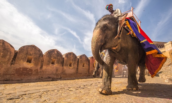 An elephant adorned with colorful fabric carries a rider wearing a traditional turban. The scene is set against an ancient stone fort under a partly cloudy sky.