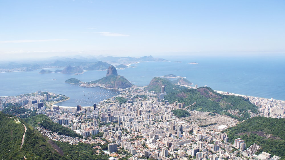 aerial photography of city near body of water at daytime