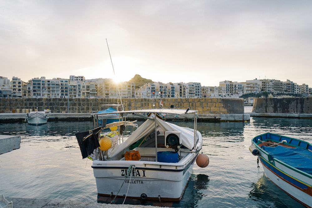 Weißes und blaues Boot tagsüber auf dem Wasser