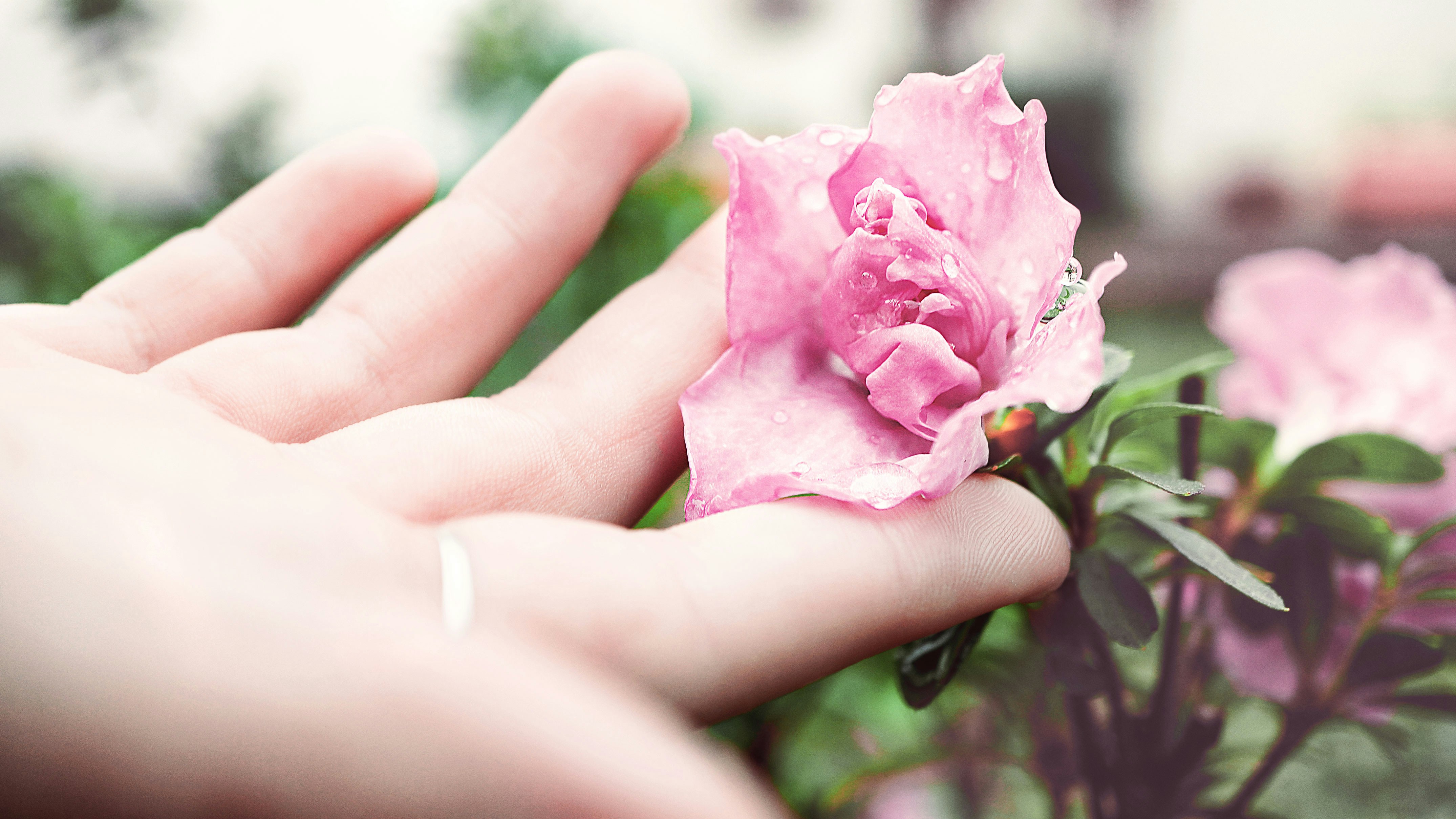 Are There Any Home Remedies For Gout?