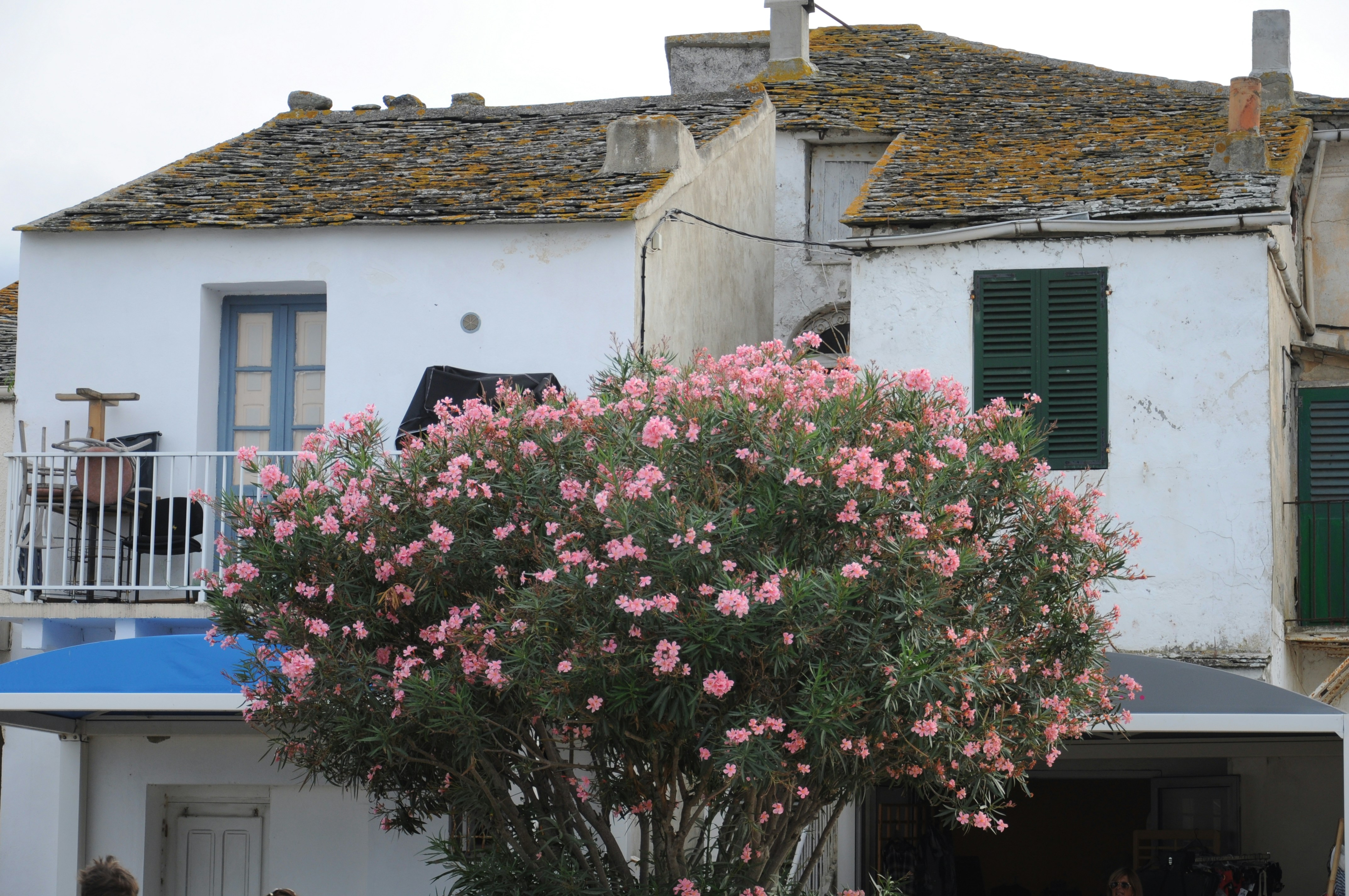 Free Unsplash photo from Uli Wucherer