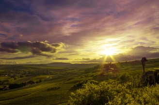 A serene sunset over terracotta-colored vineyards with colonial architecture in the background.