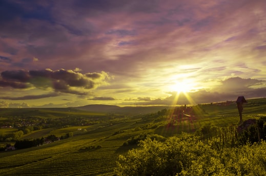 A serene sunset over terracotta-colored vineyards with colonial architecture in the background.
