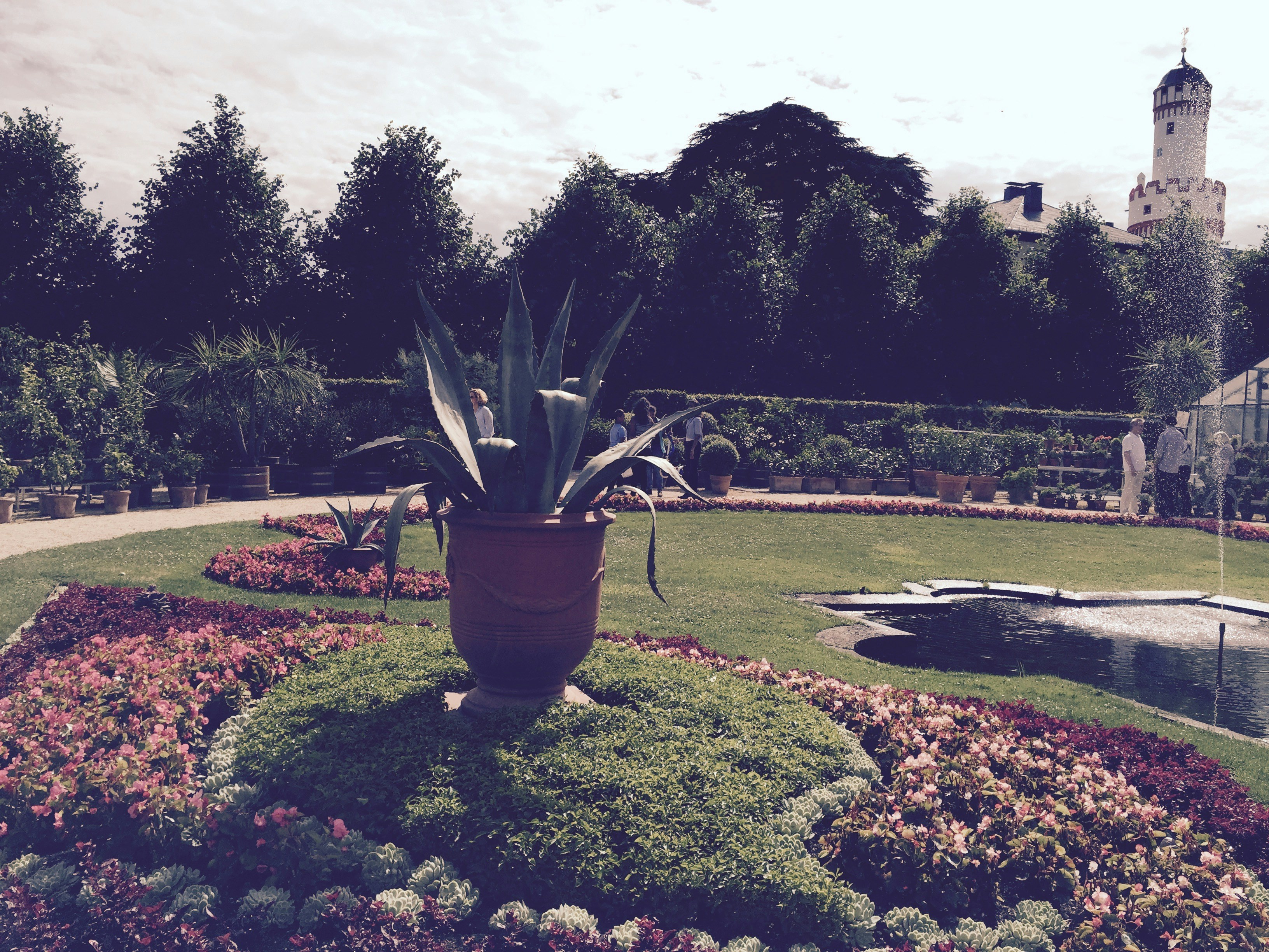 Free Unsplash photo from Ak Ka