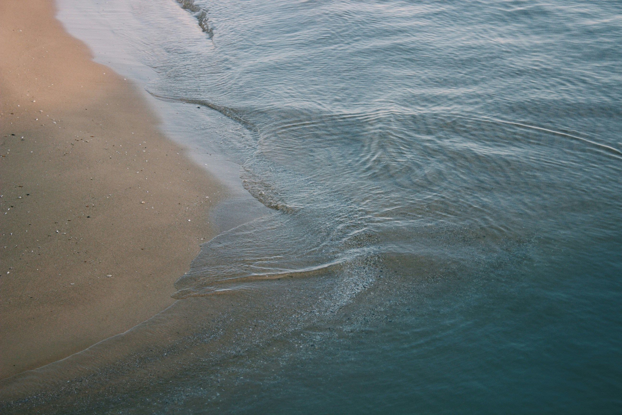 Free Unsplash photo from Ryan Lindsay