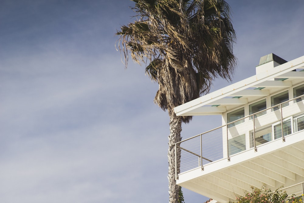 Albero a foglia verde accanto al balcone della casa