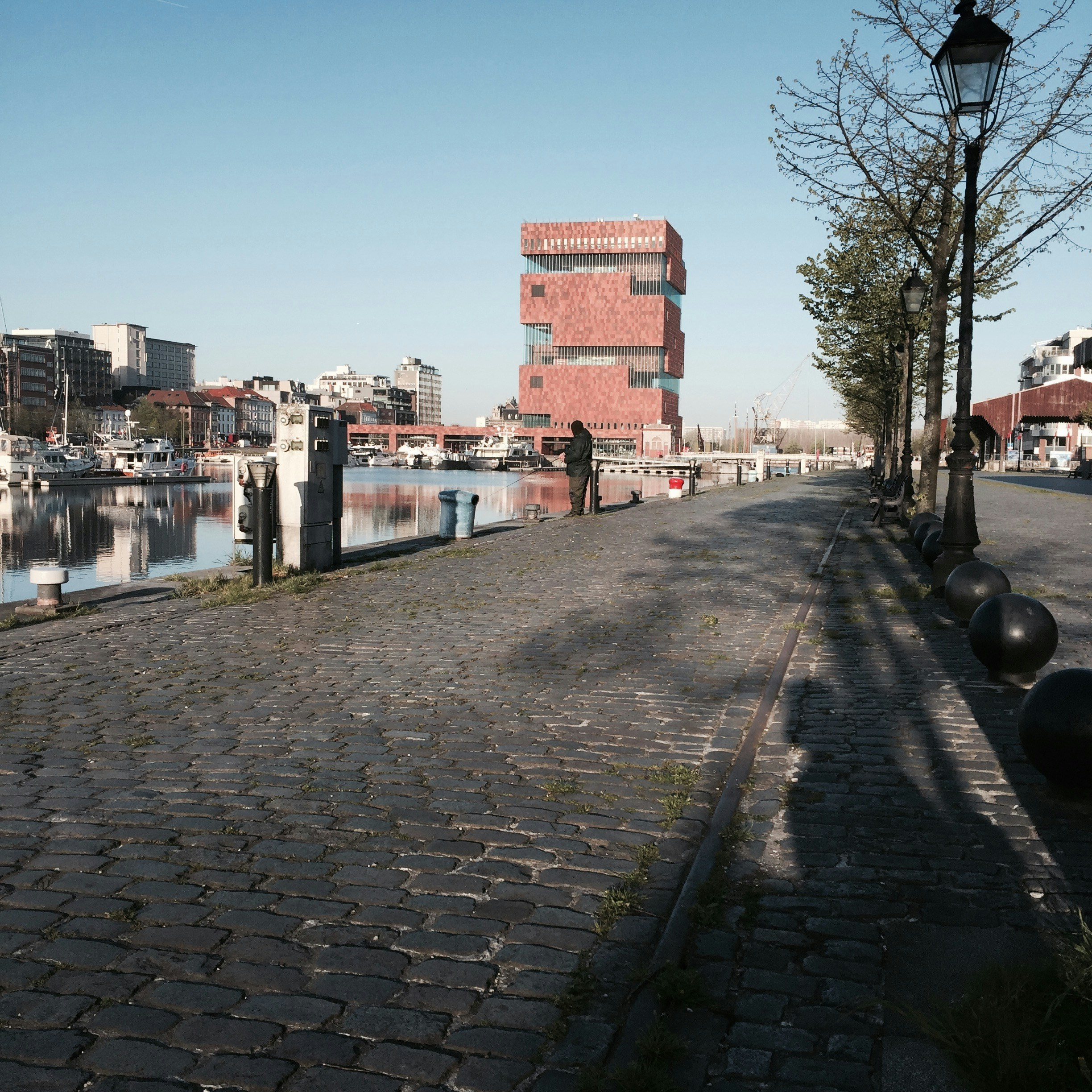 Free Unsplash photo from Sebastian Verhulst