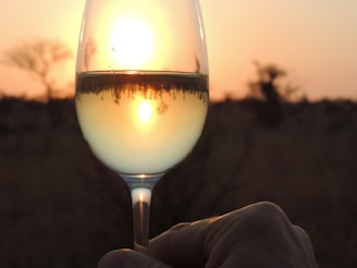 An elegant wine glass catching the light beside a vineyard landscape at sunset.