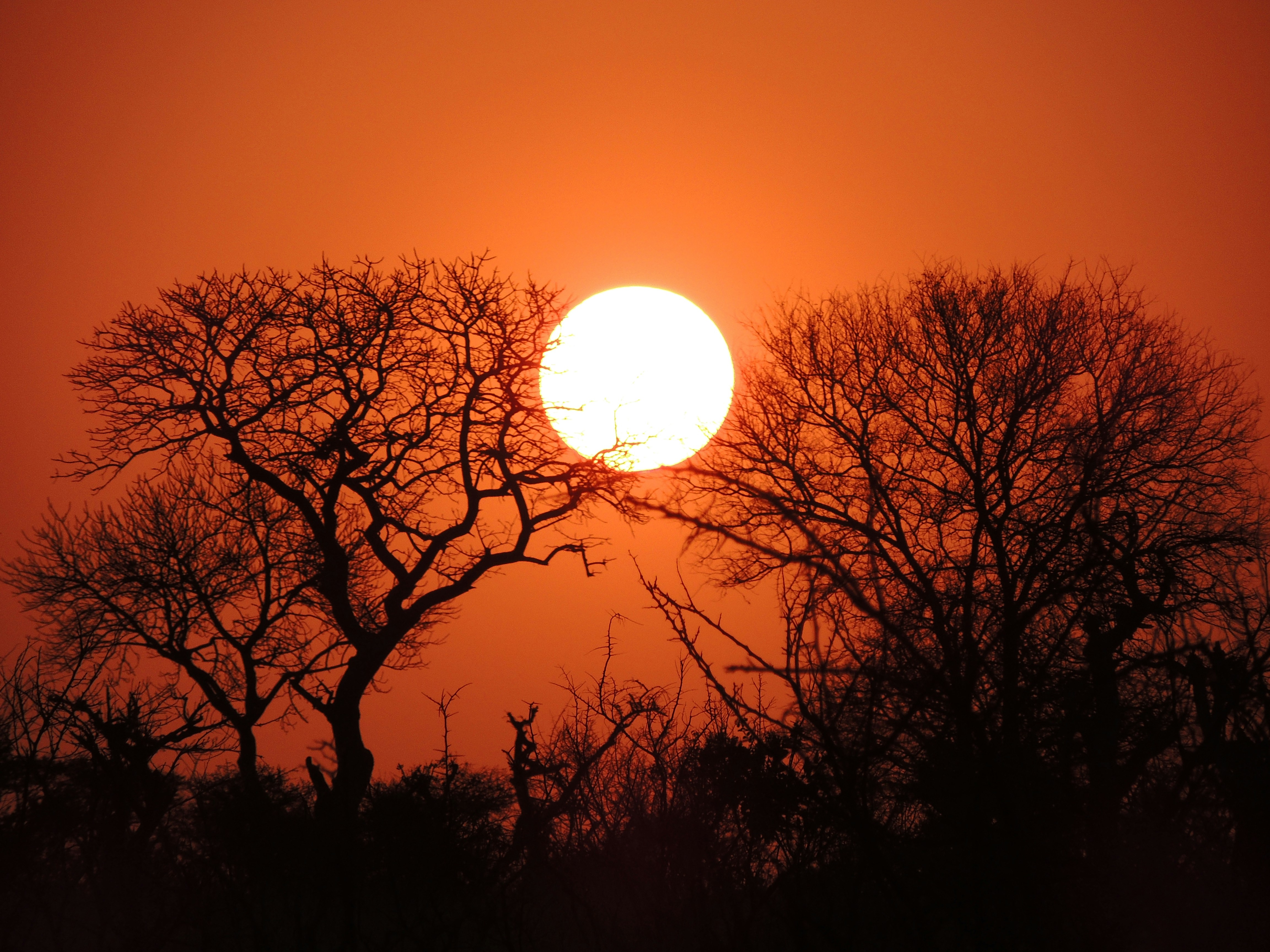 Free Unsplash photo from Corentin Marzin