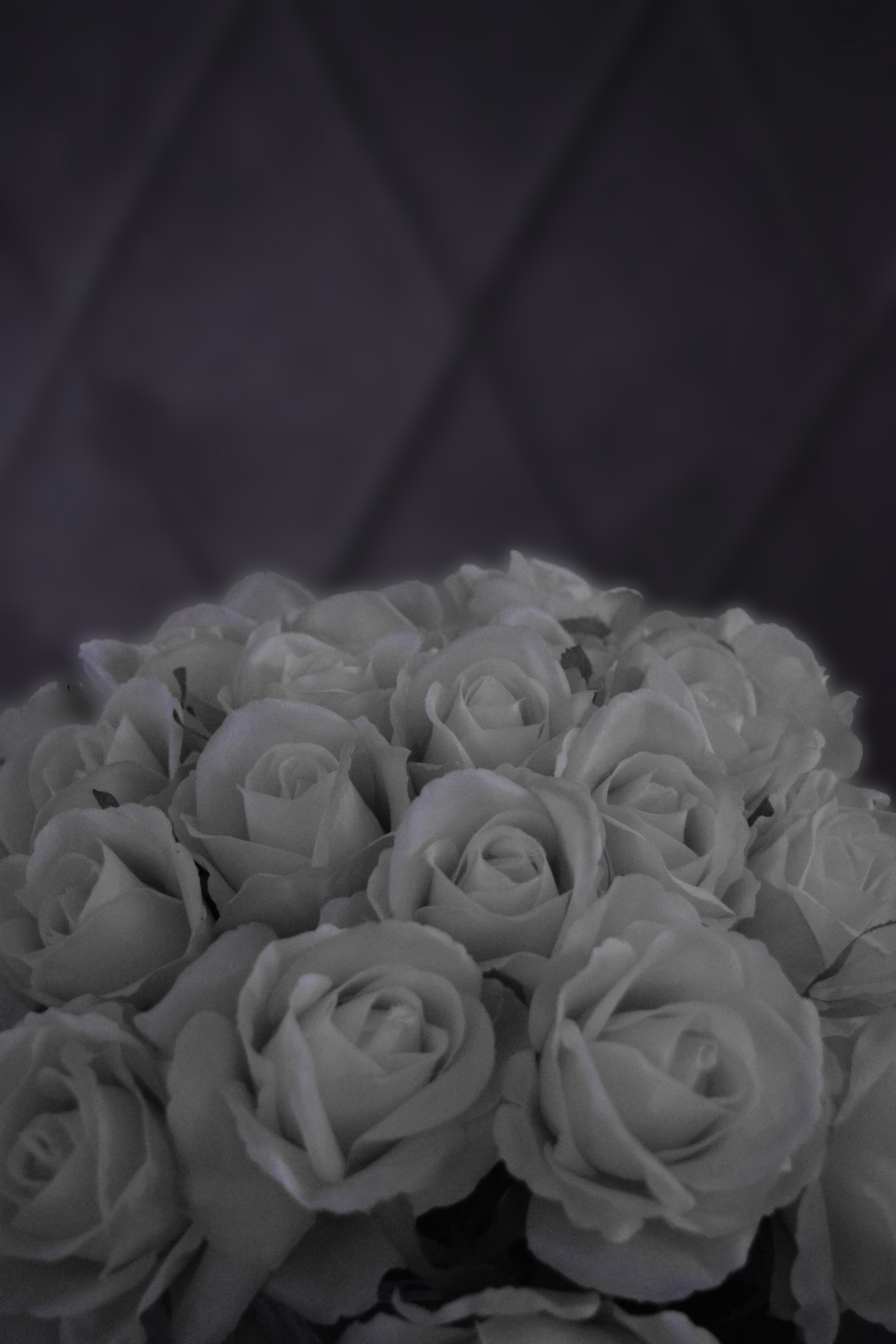 Free Unsplash photo from Mahdiar Mahmoodi