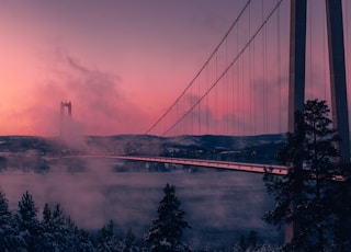 grey full-suspension bridge photography during daytime