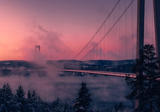 grey full-suspension bridge photography during daytime