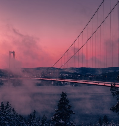 grey full-suspension bridge photography during daytime