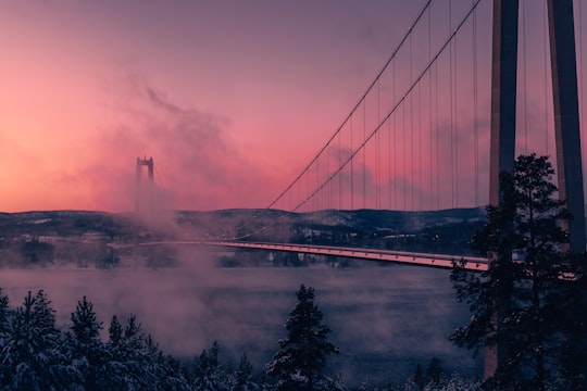 grey full-suspension bridge photography during daytime in Högakustenbron Sweden