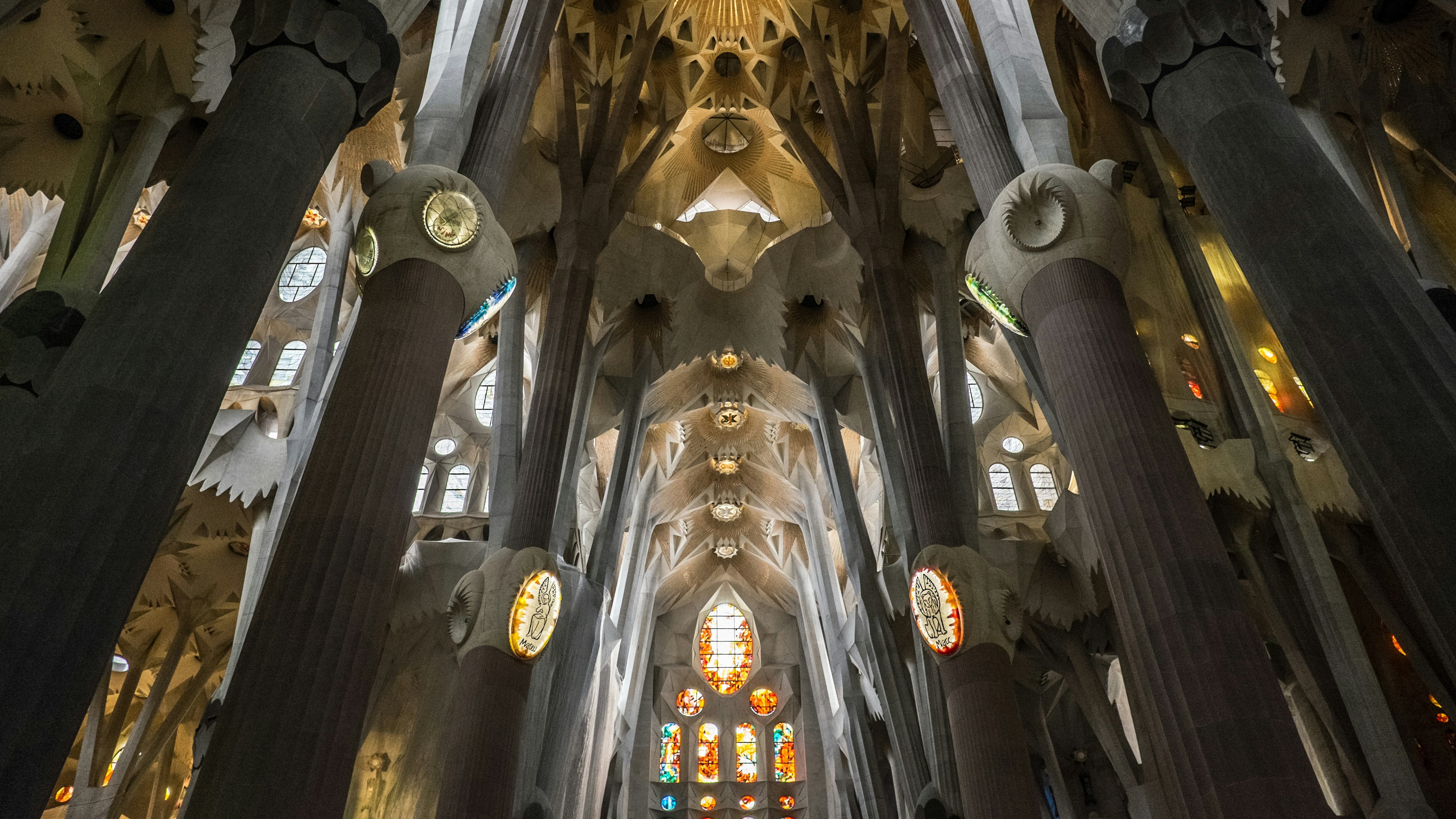 Free Unsplash photo from Xingyu Ni