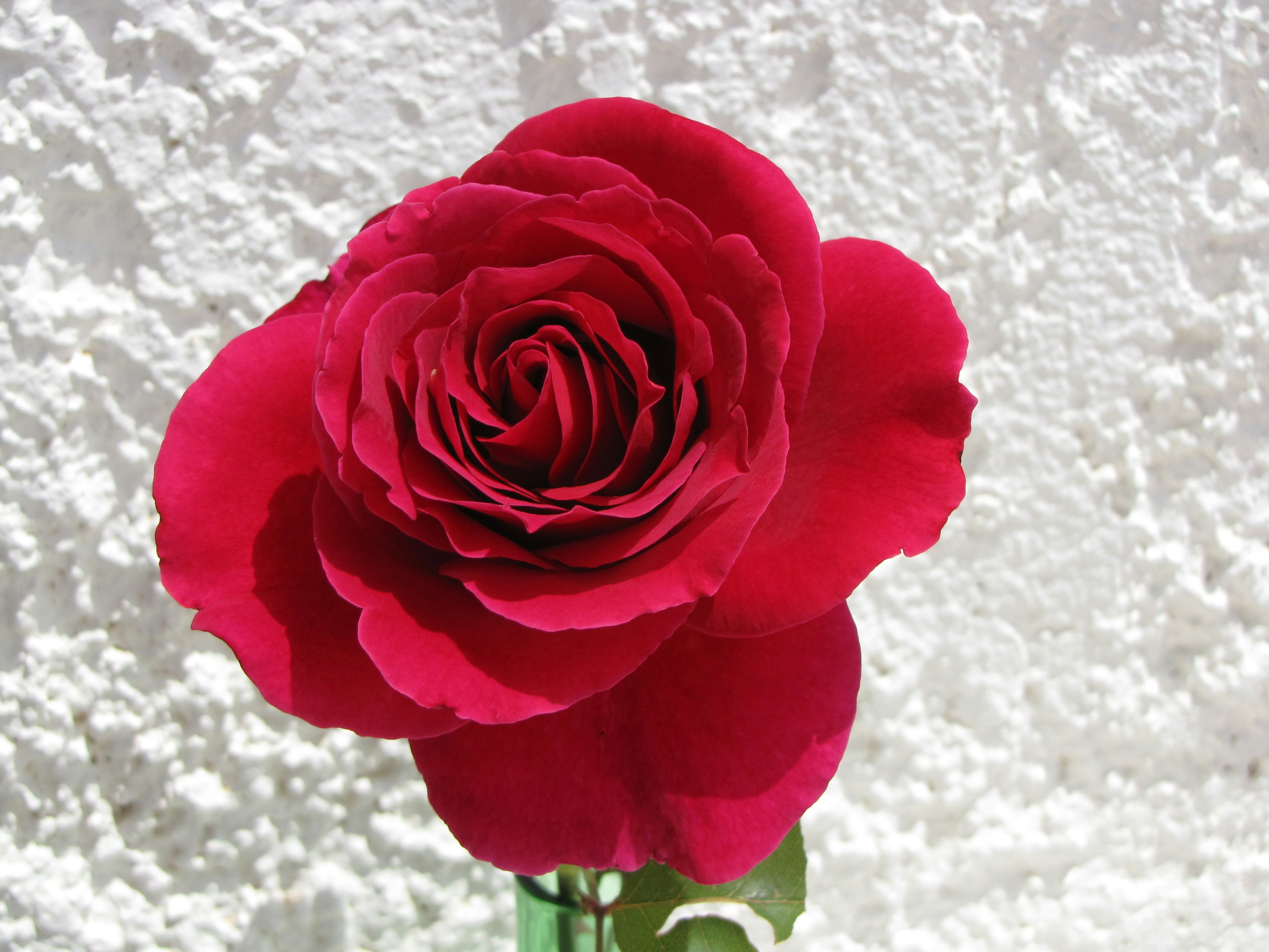 Free Unsplash photo from Kostas Kaisidis