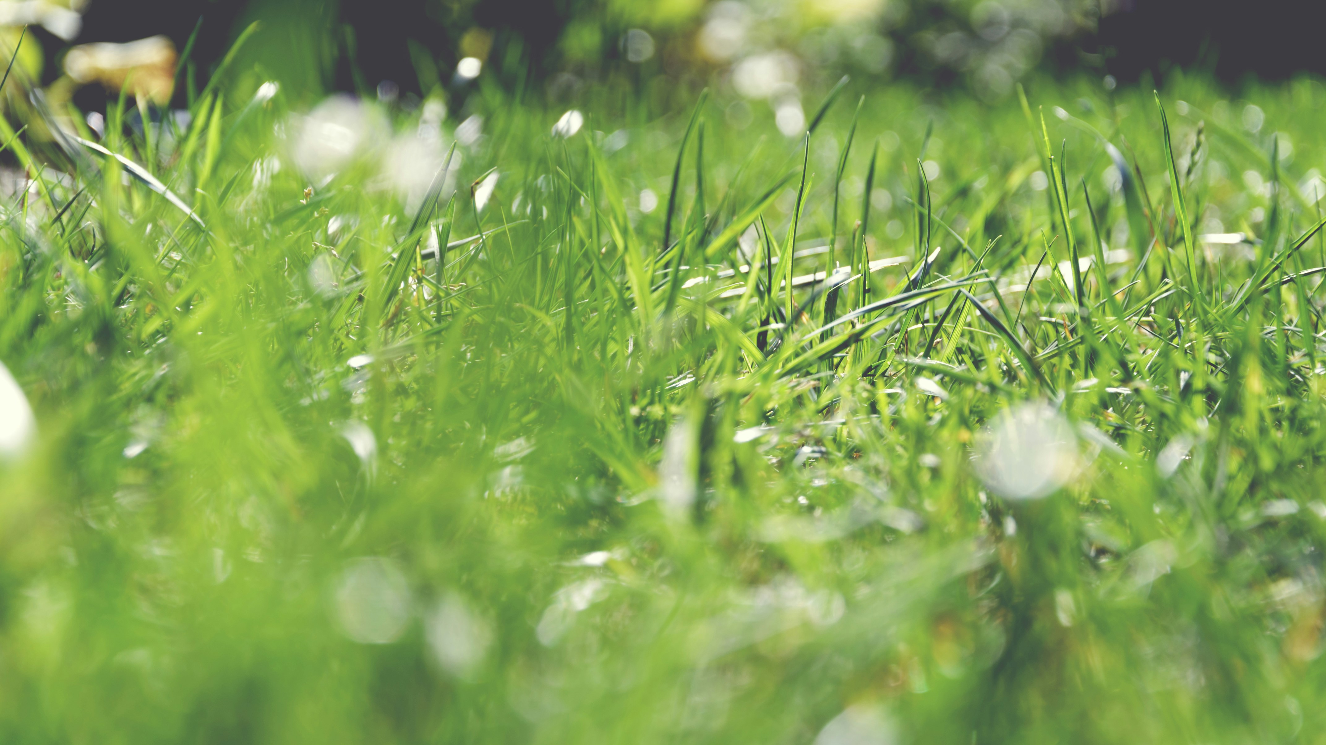 Free Unsplash photo from Katarzyna Kos