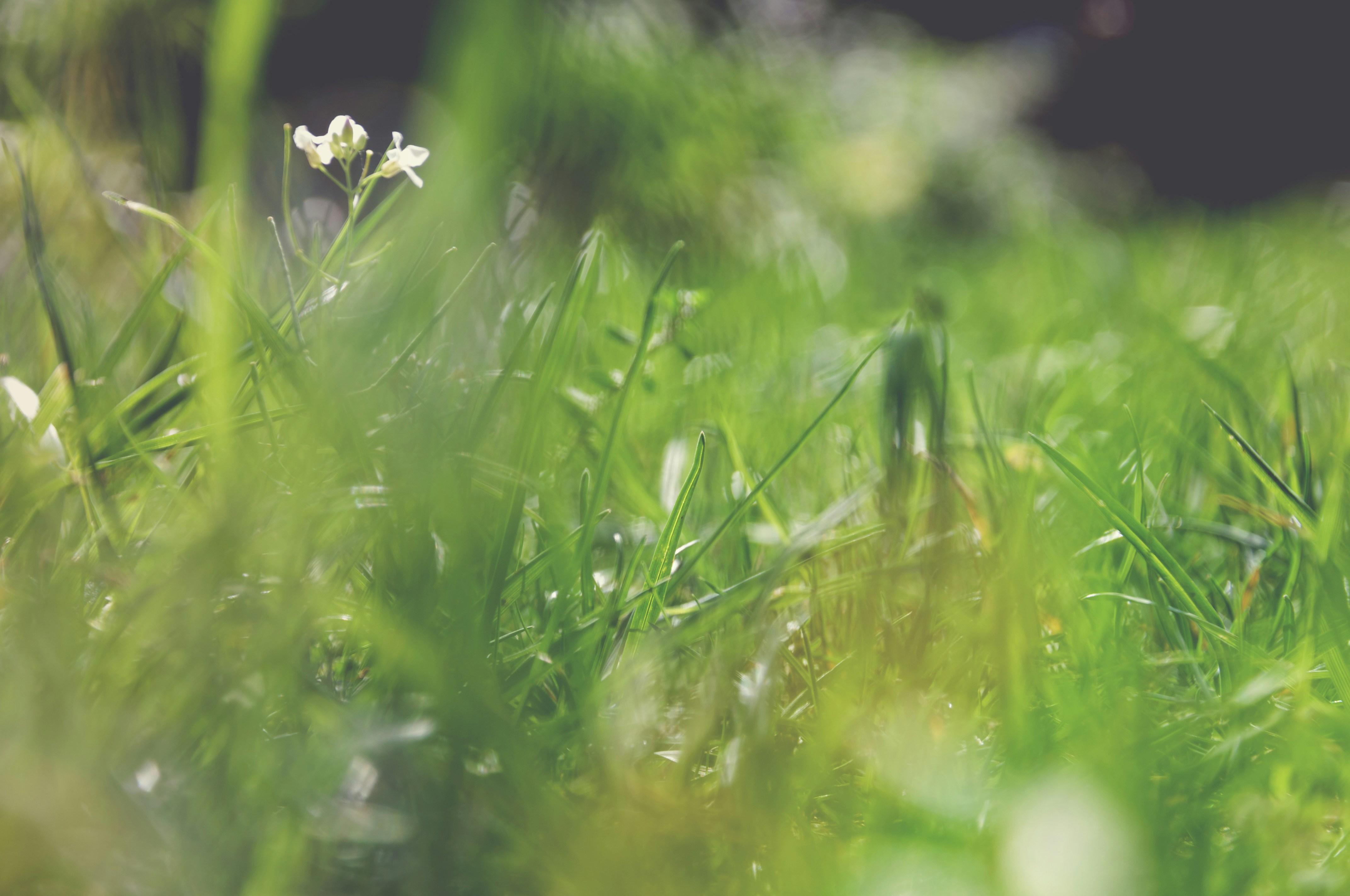 Free Unsplash photo from Katarzyna Kos