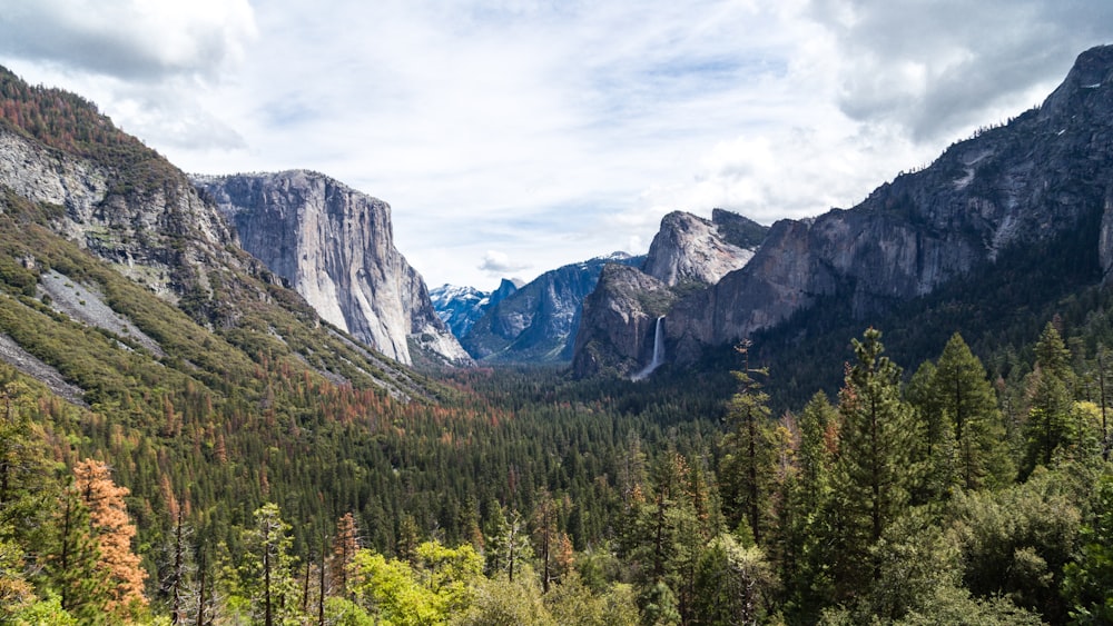 aerial photography of forest between mountains at daytime