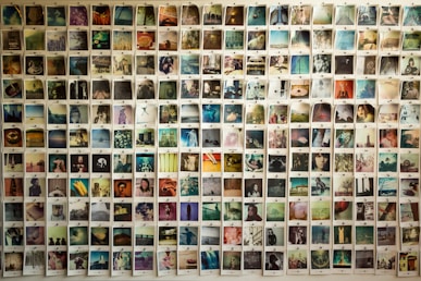 A collection of polaroid photos pinned on a bright wall.