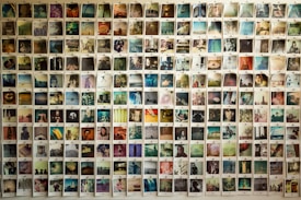 A large collection of Polaroid photos are displayed on a wall, each capturing different scenes and subjects such as landscapes, portraits, and abstract images. The photos are arranged systematically in a grid format, creating a visually engaging collage with various colors and themes.