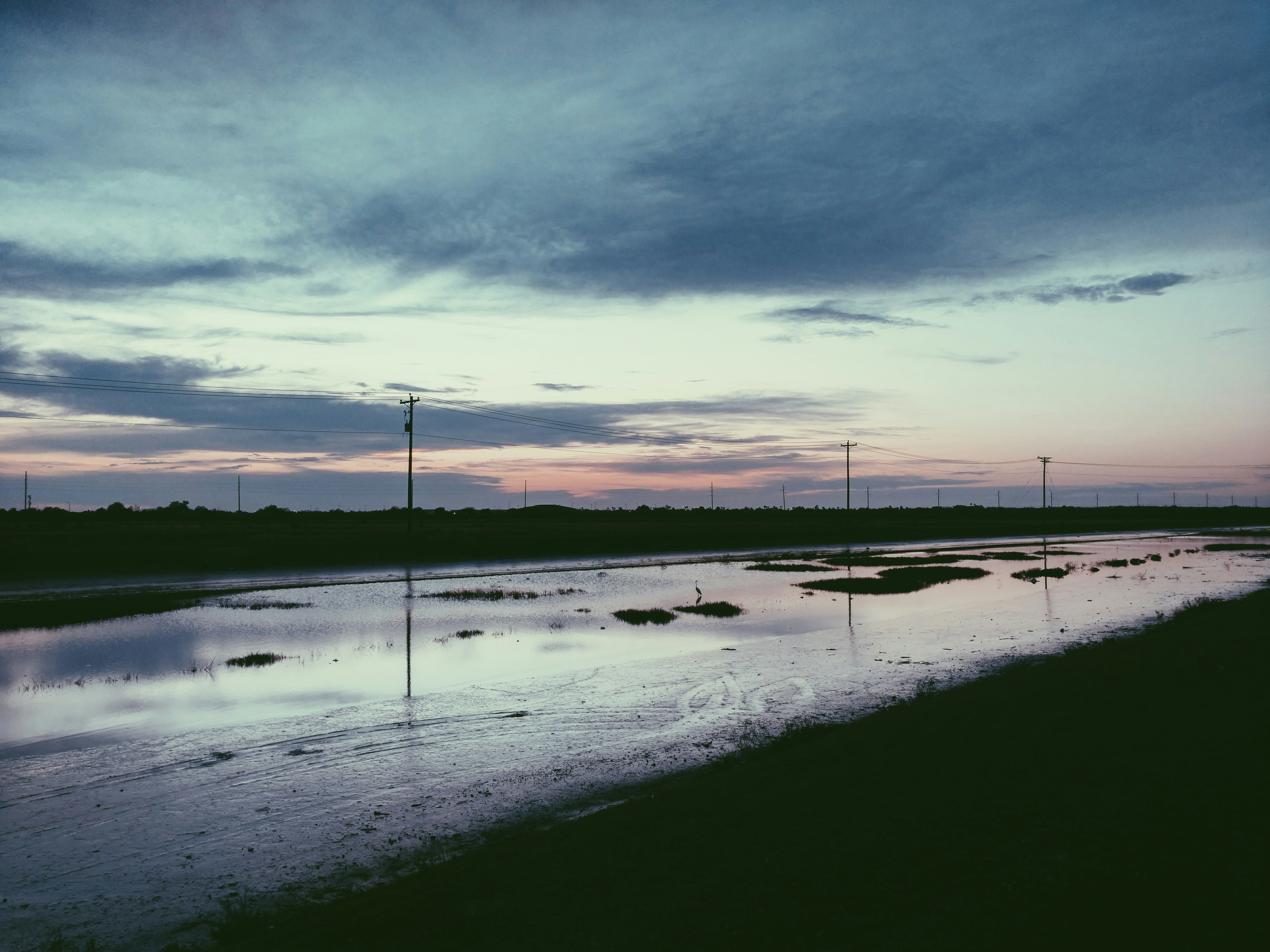 Free Unsplash photo from Julia Gonzalez