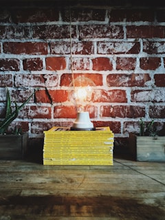 A collection of National Geographic magazines with yellow spines is stacked neatly on a wooden surface. On top of the stack is a light bulb in a holder, illuminated and casting a warm glow against the red and white exposed brick wall in the background. Two small succulents are positioned in wooden planters, flanking the magazines on either side.