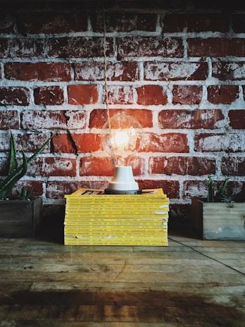 A collection of National Geographic magazines with yellow spines is stacked neatly on a wooden surface. On top of the stack is a light bulb in a holder, illuminated and casting a warm glow against the red and white exposed brick wall in the background. Two small succulents are positioned in wooden planters, flanking the magazines on either side.