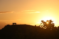 A peaceful sunset over the Beni landscape, reflecting the foundation’s commitment to lasting change.