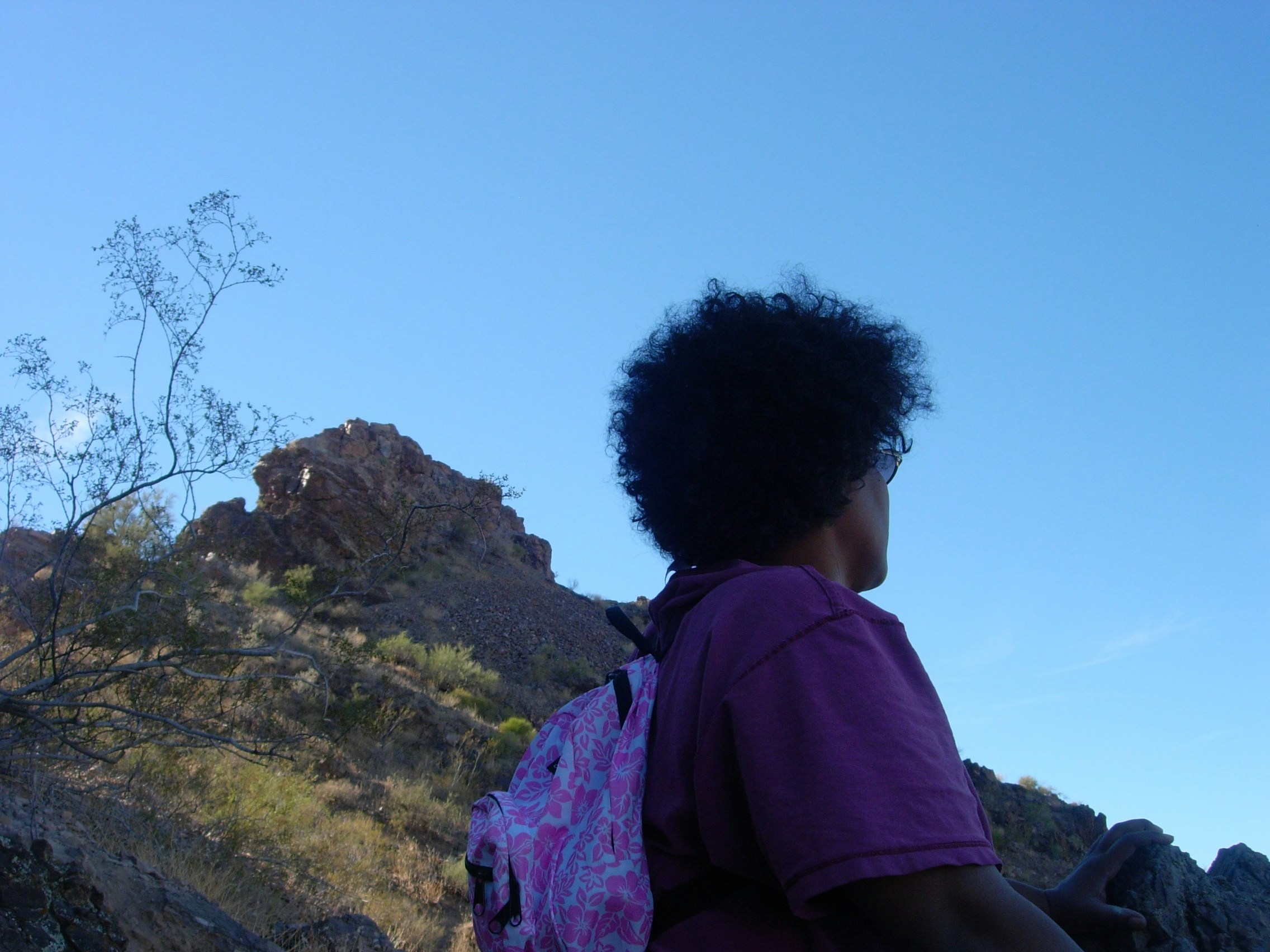 Free Unsplash photo from Trudye Webb