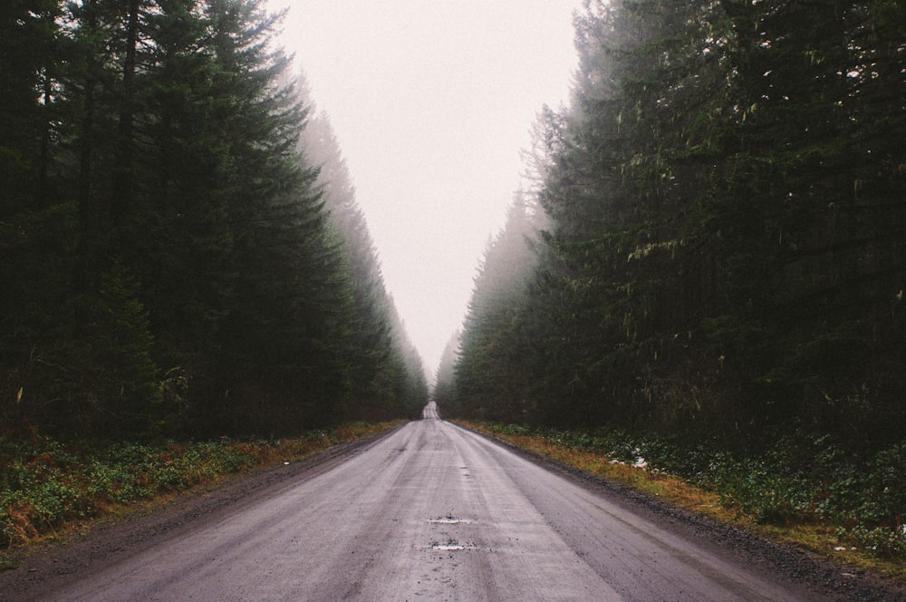 empty concrete road