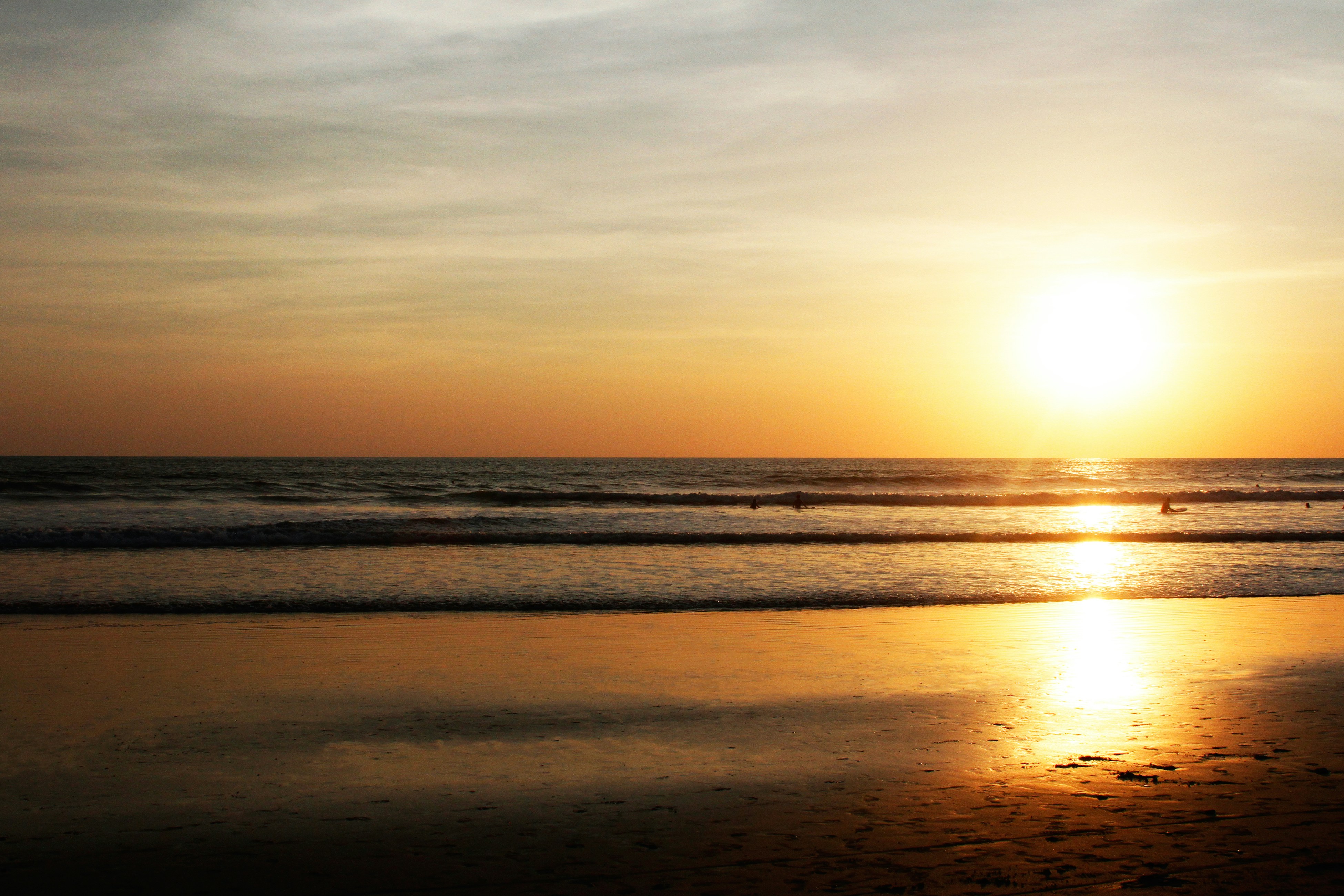 Free Unsplash photo from alex tapia