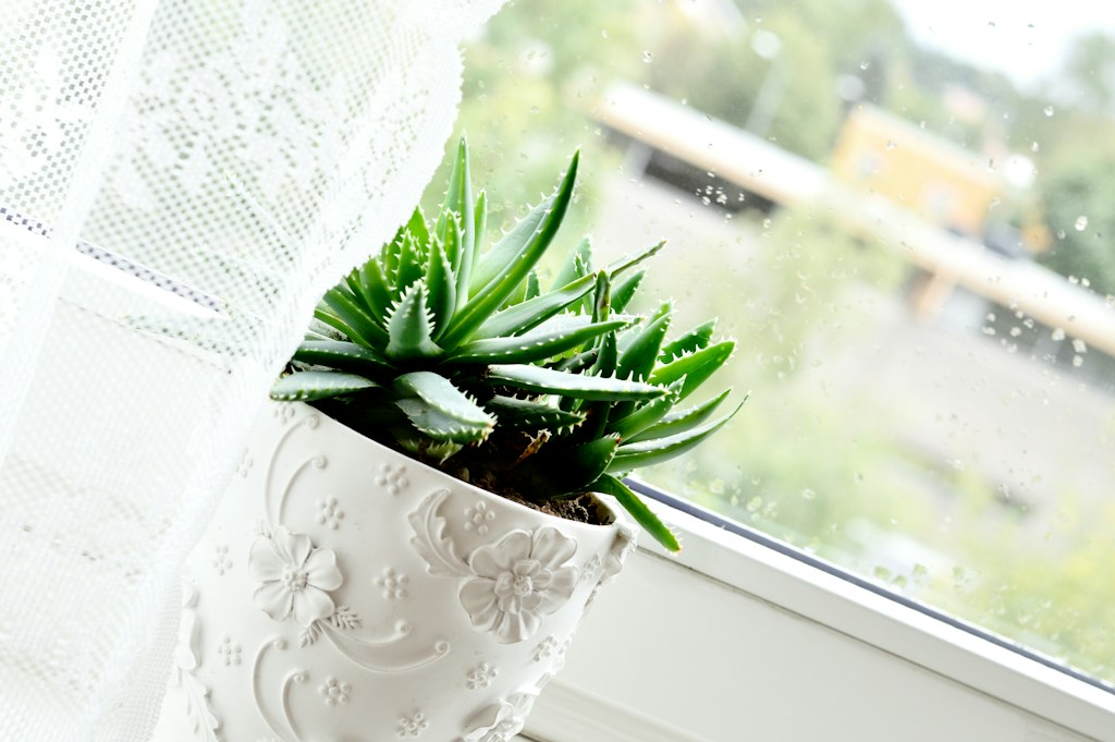 Green Plant Hanger