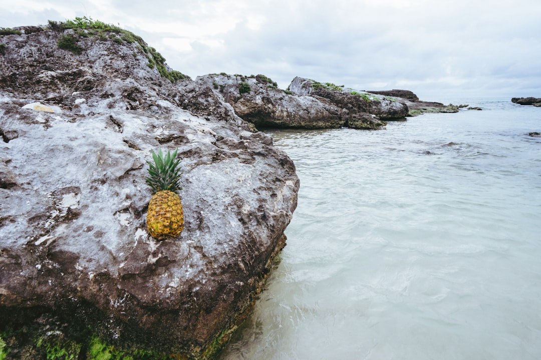 Shore photo spot Grand Sirenis Riviera Maya Resort Quintana Roo