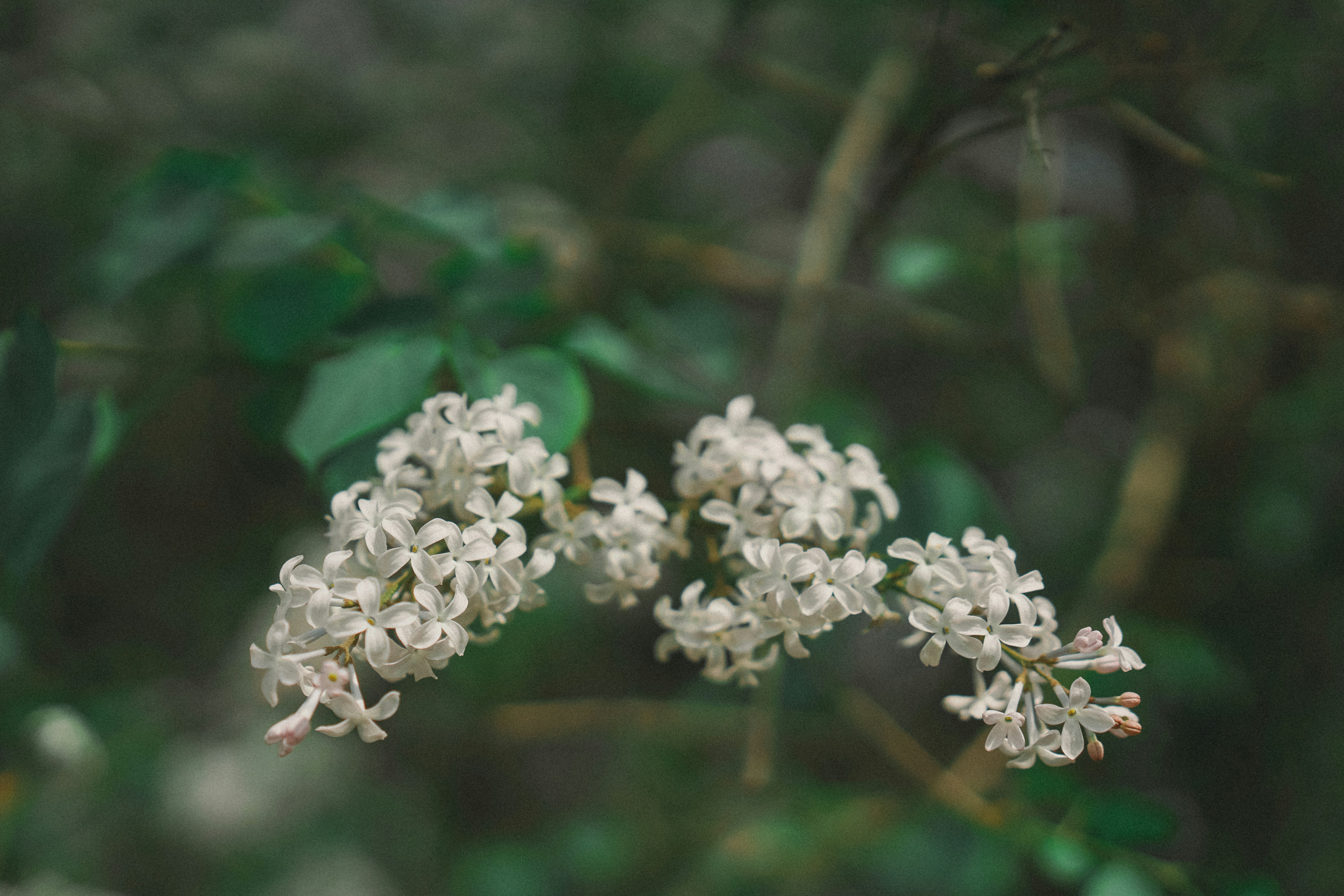 Free Unsplash photo from Yuanbin Du