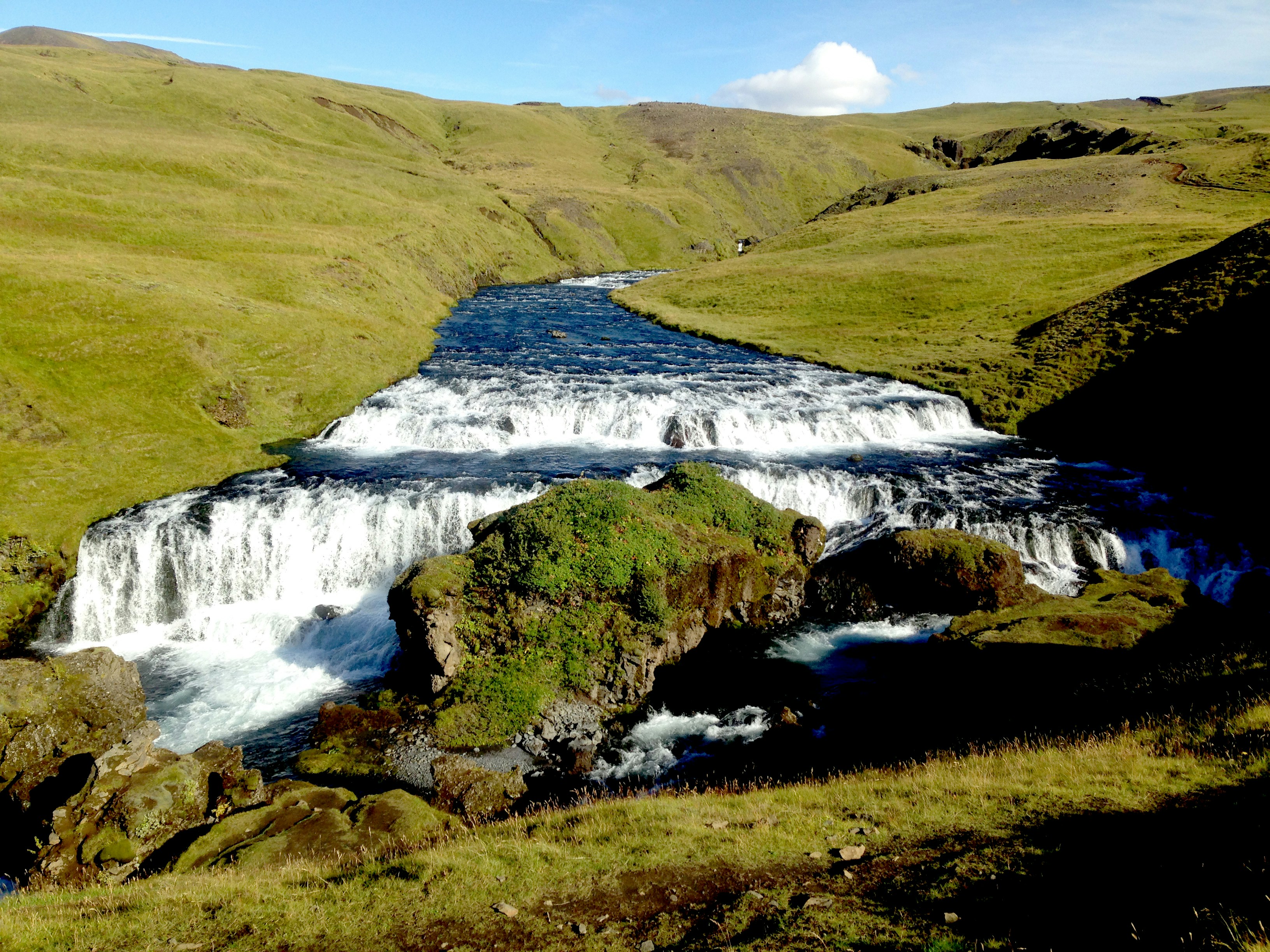 Free Unsplash photo from Milind Kaduskar