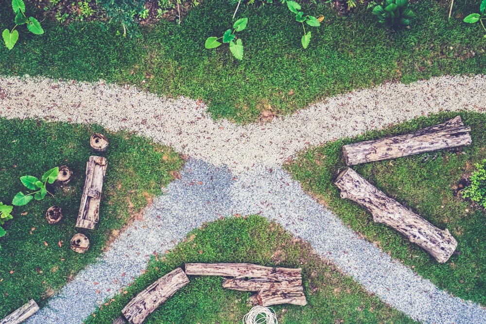 aerial view of grass